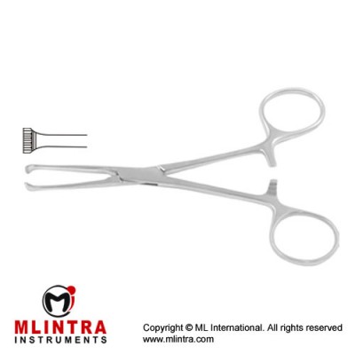 Allis Intestinal and Tissue Grasping Forcep 4 x 5 Teeth Stainless Steel, 15.5 cm - 6" Allis Intestinal and Tissue Grasping Forcep 4 x 5 Teeth Stainless Steel, 15.5 cm - 6"